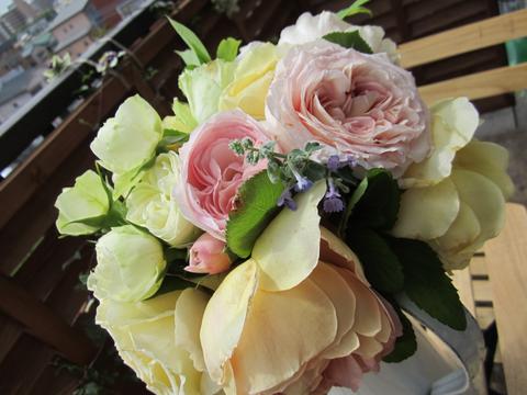 a0157081_15335069.jpg