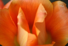 c0057781_1729110.jpg