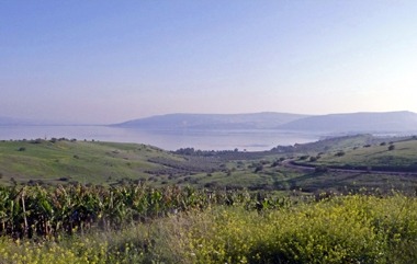 b0089084_12135667.jpg