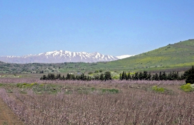 b0089084_12153361.jpg