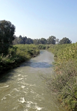 b0089084_1217621.jpg