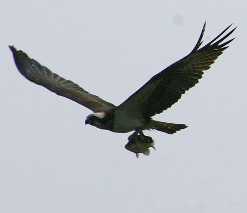 e0197884_034216.jpg