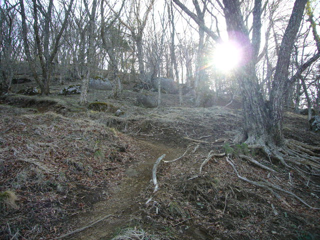 d0147789_20423171.jpg