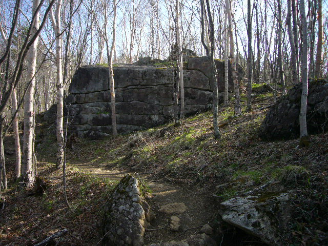 d0147789_20431197.jpg