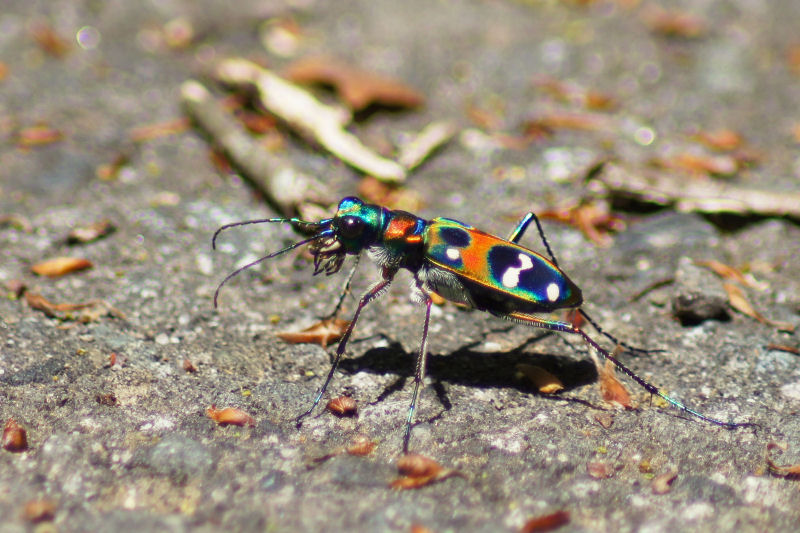 b0078795_20253641.jpg
