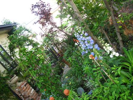 f0178897_17412328.jpg