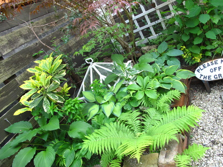 f0178897_1745665.jpg