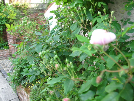f0178897_17481988.jpg
