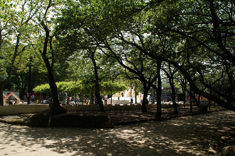 e0157999_23385485.jpg