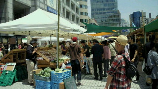 f0114900_5403027.jpg