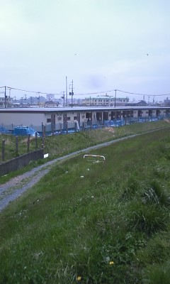 f0032403_636449.jpg