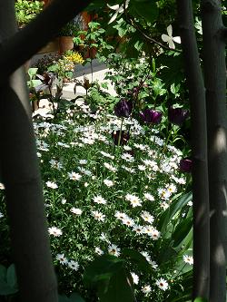 e0234004_01456.jpg