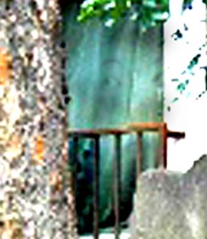 e0103408_14273012.jpg