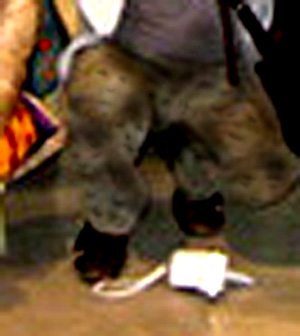 e0103408_16273695.jpg
