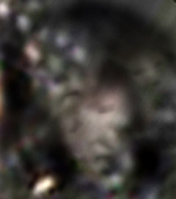 e0103408_16422193.jpg