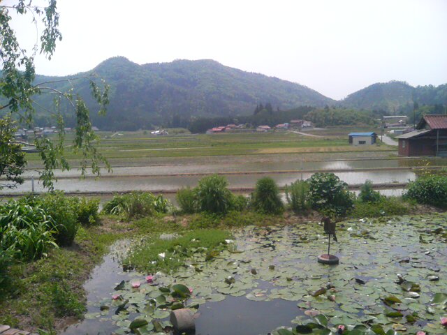 c0129314_23565858.jpg