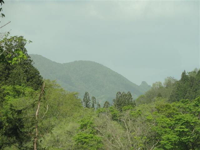 a0127015_7385559.jpg