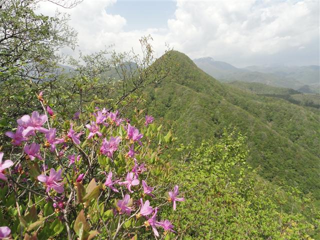 a0127015_8202266.jpg