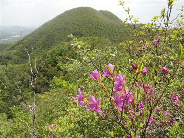 a0127015_8212643.jpg