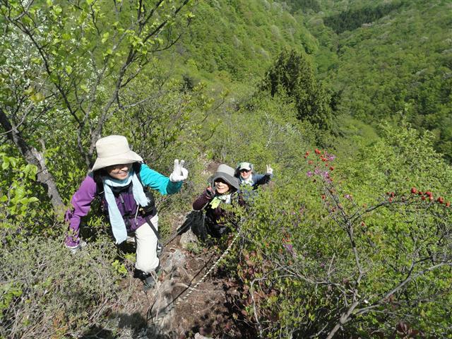 a0127015_8215128.jpg