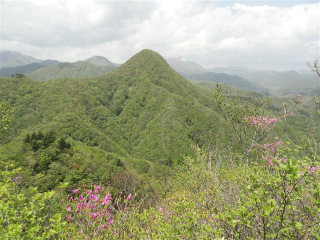 a0127015_8223498.jpg