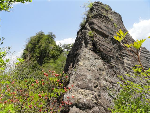 a0127015_8231676.jpg