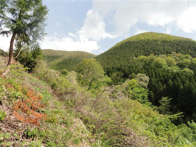 a0127015_842079.jpg