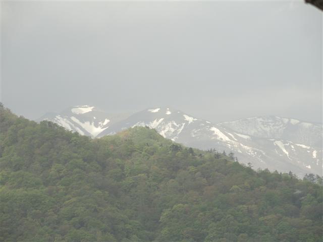a0127015_85641.jpg