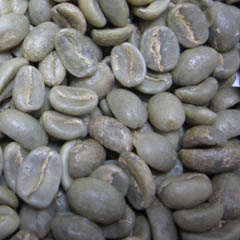 c0036617_74071.jpg