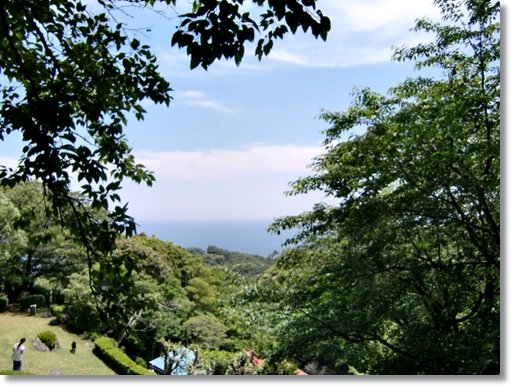 f0182121_204783.jpg