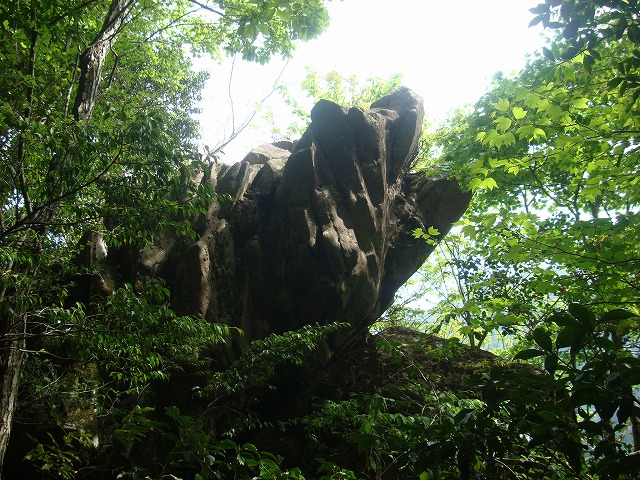 f0193521_15213876.jpg