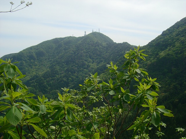 f0193521_15215212.jpg