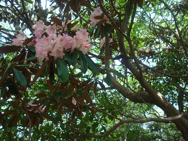 f0193521_1528244.jpg