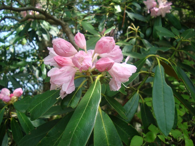 f0193521_15298100.jpg