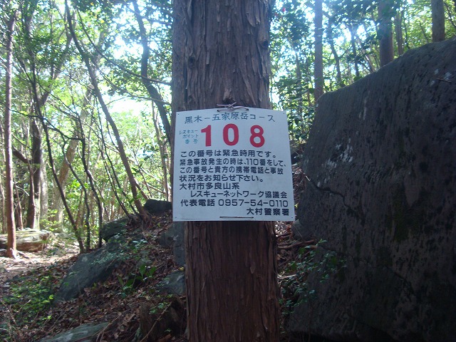 f0193521_1549794.jpg