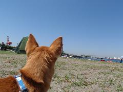 f0022024_2211443.jpg