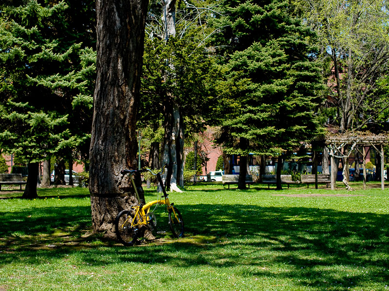 b0085526_15275760.jpg