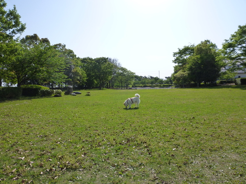 b0138430_1441308.jpg