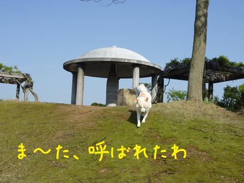 b0138430_154225.jpg