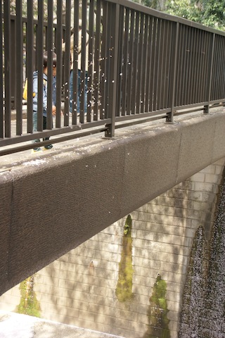 c0199431_2247246.jpg