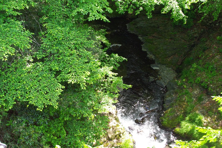 e0103831_21523832.jpg
