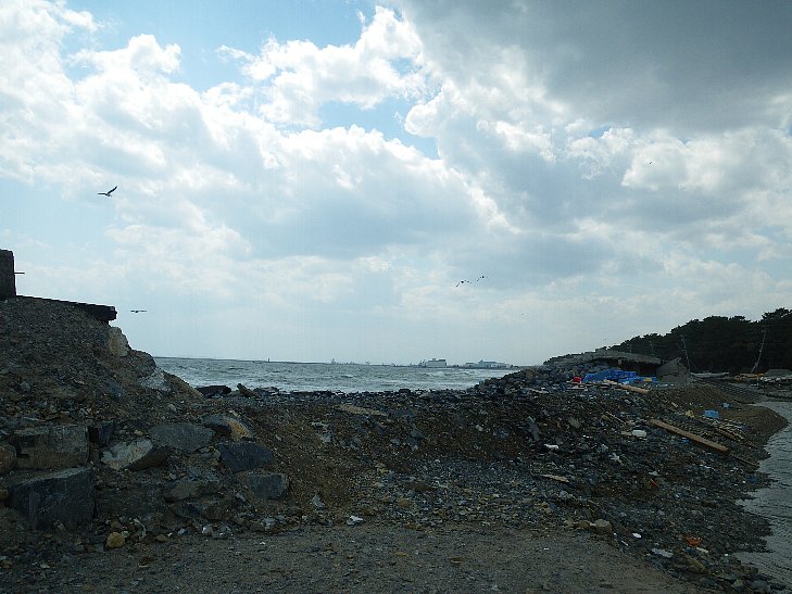 f0118332_045889.jpg