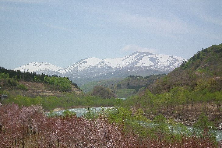 f0118332_23263461.jpg