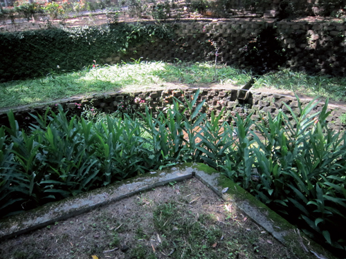 e0066135_3717.jpg