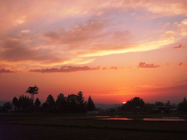 f0131535_23295238.jpg