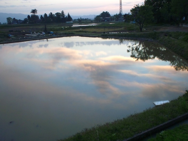 f0131535_2330593.jpg