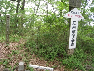 c0077338_4465332.jpg