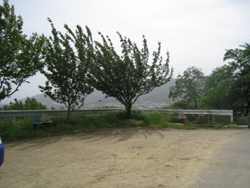 c0077338_5221477.jpg