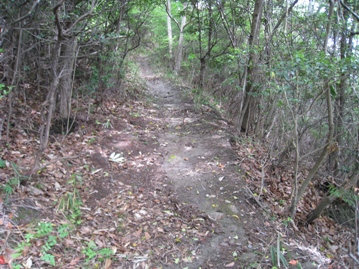 c0077338_5244772.jpg