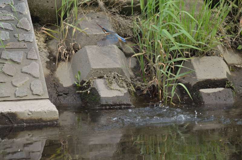 e0138546_131669.jpg